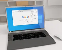 谷歌浏览器下载：保障网络安全出行